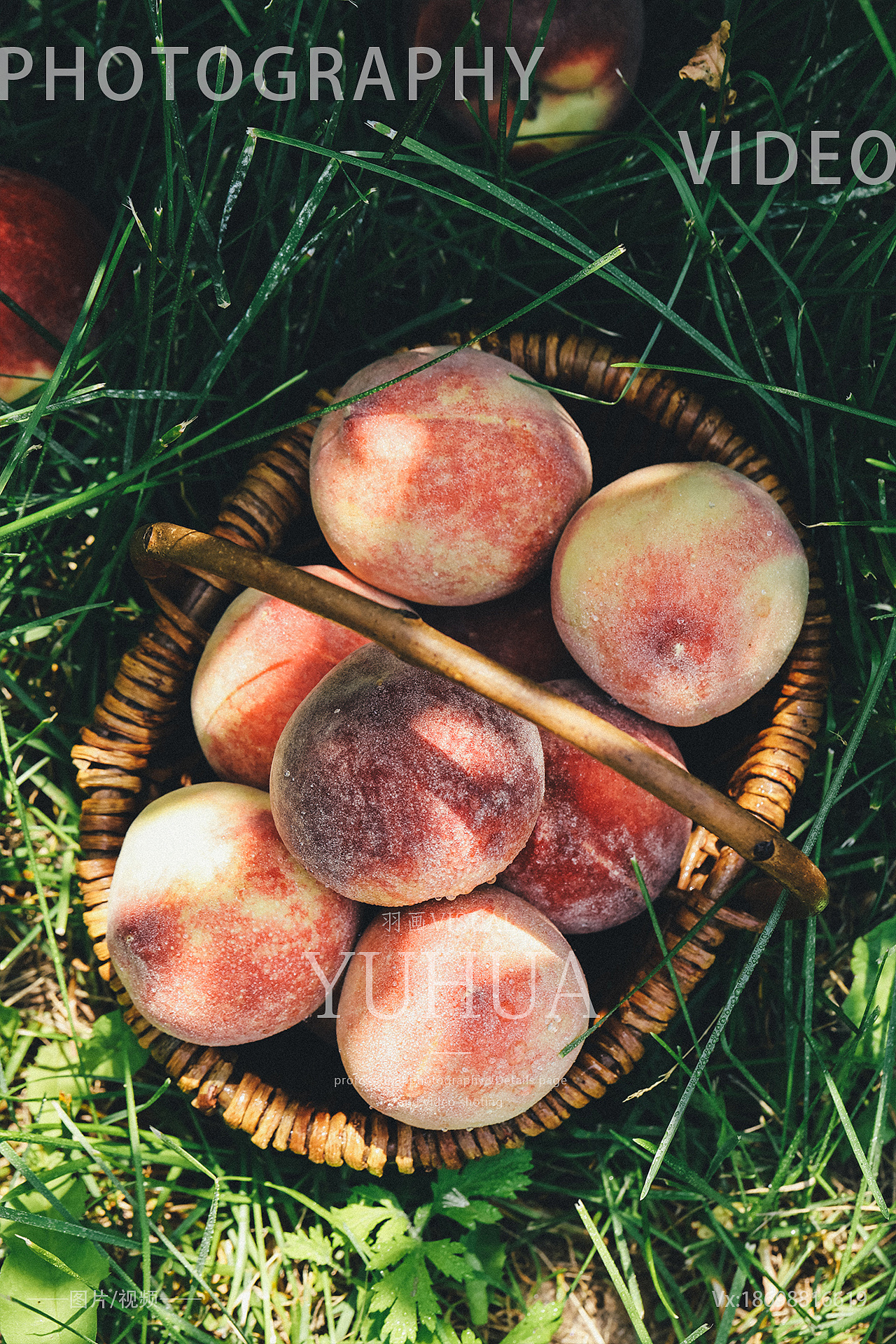 水蜜桃摄影新鲜桃子拍照毛桃油桃拍摄水果蟠桃毛桃子