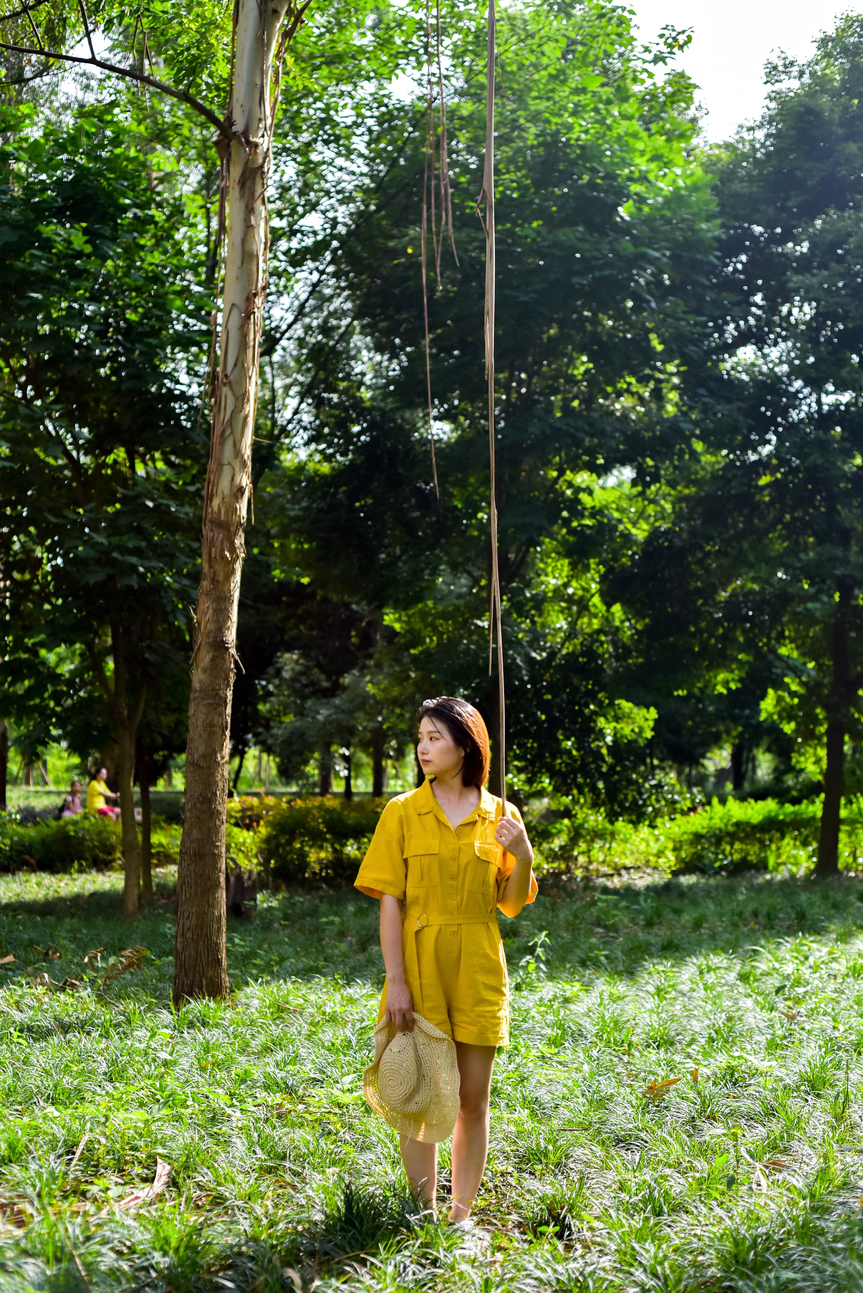 向日葵清新人物草地写真摄影拍照