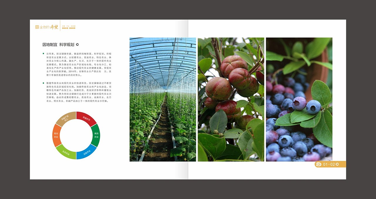 金色的希望 乡镇 画册（图ZMzYzNTc4MjA=） - 书籍/画册 - 站酷设计师fxy216ccc原创素材 - 站酷ZCOOL
