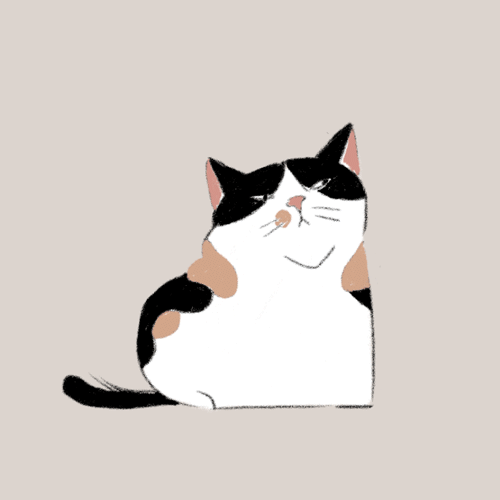 豆虎豆花的日常