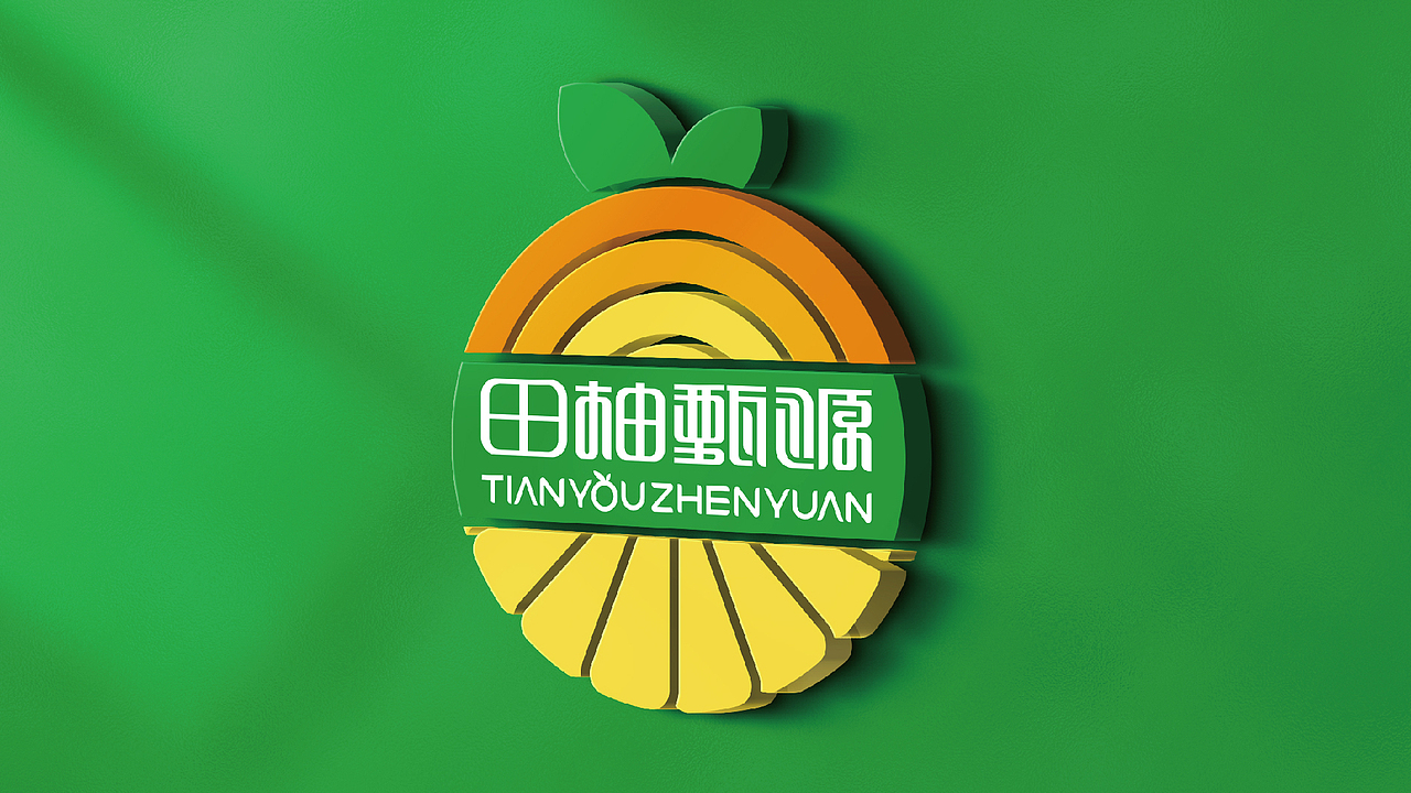 田柚甄源logo设计提案-飞机稿（图ZMTc1MTY2MDUy） - Logo - 站酷设计师黑璞设计原创素材 - 站酷ZCOOL