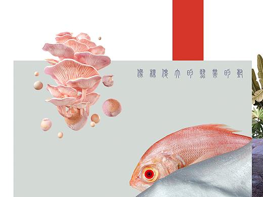 《月牙儿 阳光 我这一辈子》