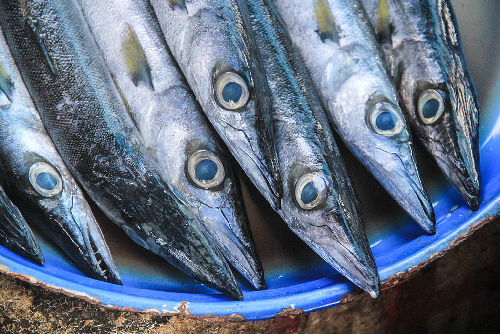 不一样的龙目岛