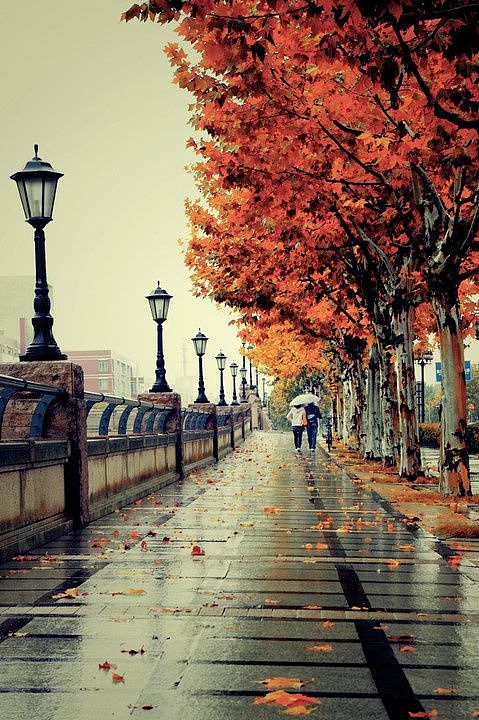 临摹扁平插画风格小图片（图ZMTAyODExOTgw） - 创作习作 - 站酷设计师伪美原创素材 - 站酷ZCOOL