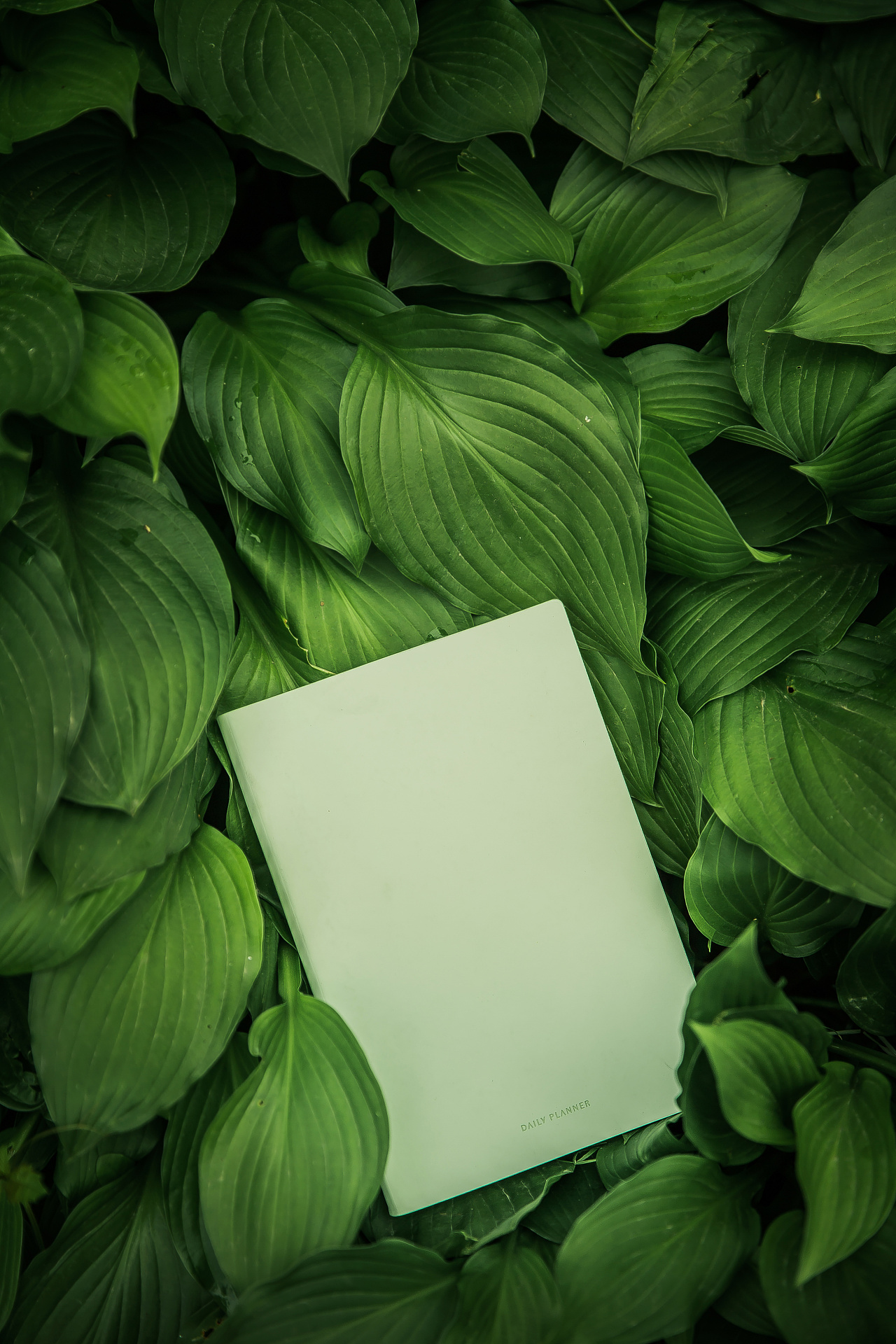 夏天的颜色 | 糖果色本子