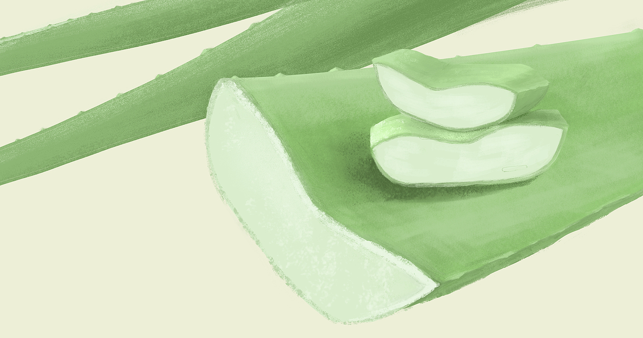 分享最近画的手绘插画（图ZMjA0MjY2MTA0） - 创作习作 - 站酷设计师爱搞事的花生原创素材 - 站酷ZCOOL