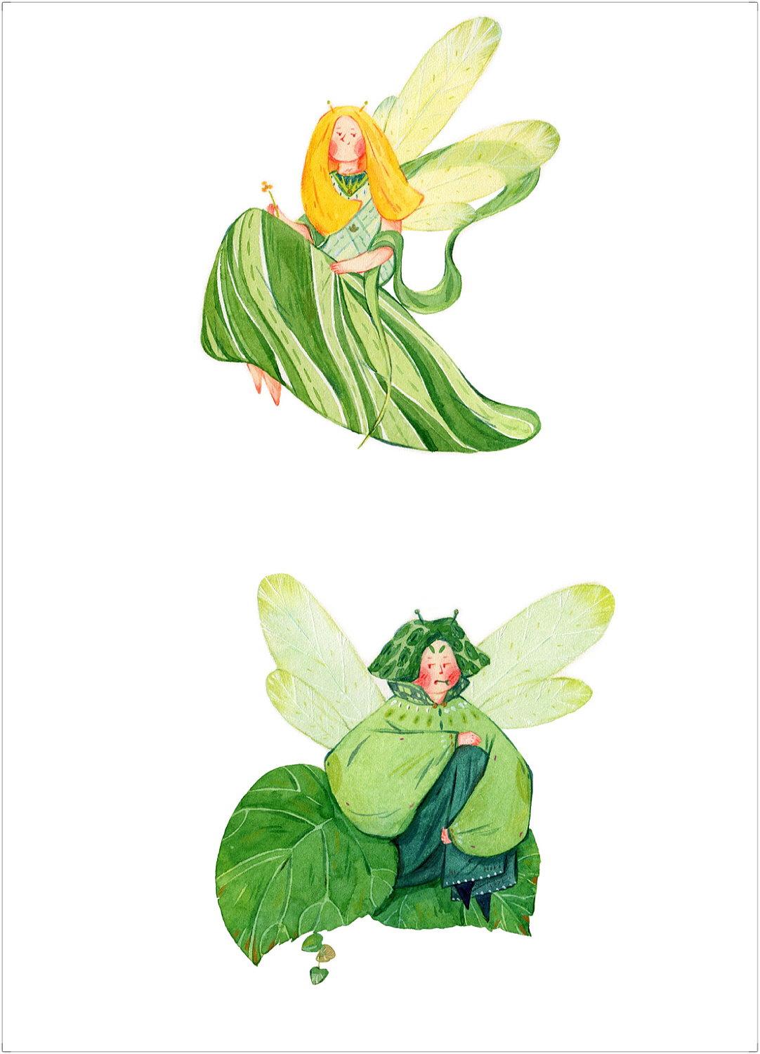 《绘心》植物人设