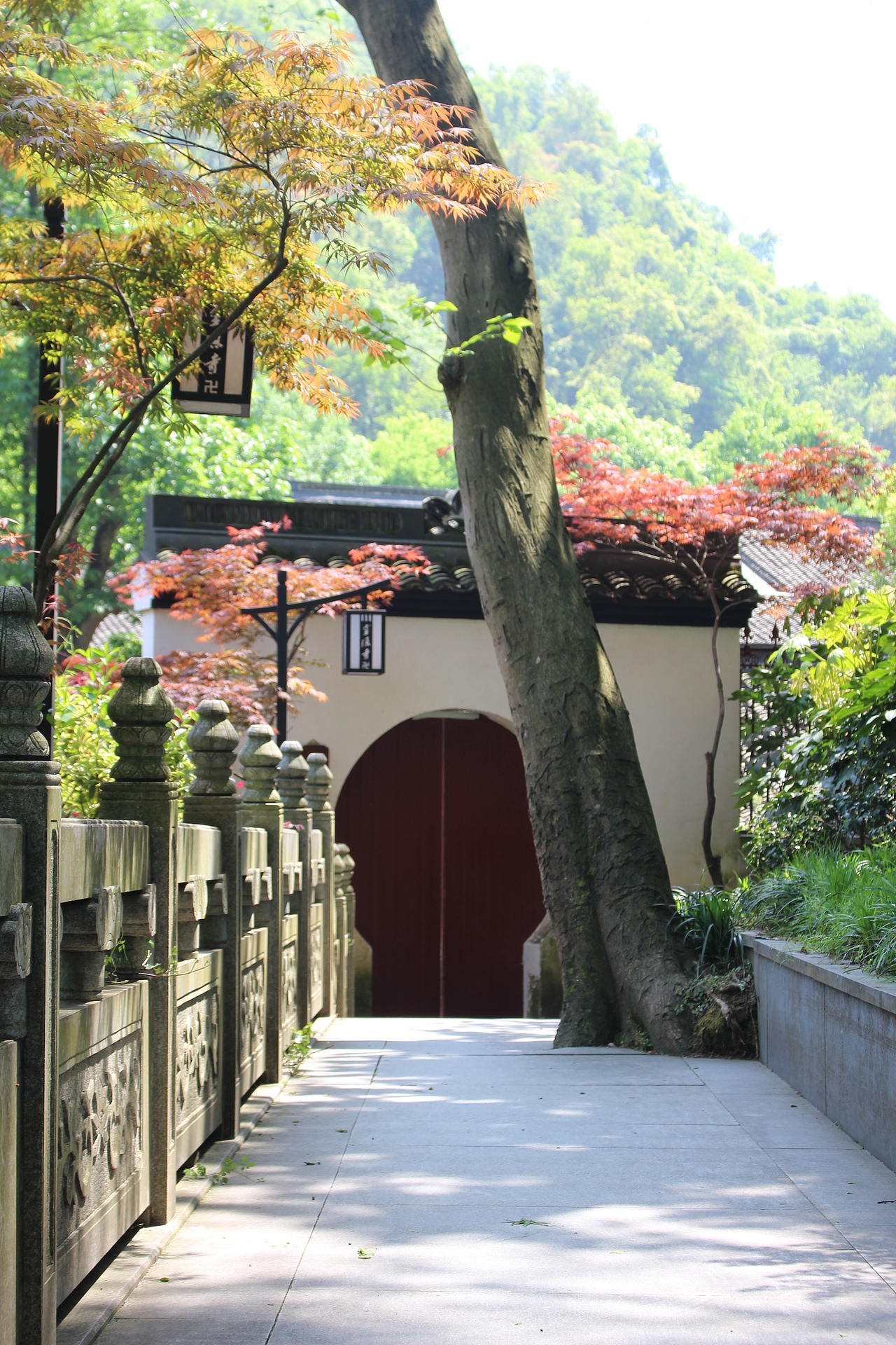 去年的杭州灵隐寺