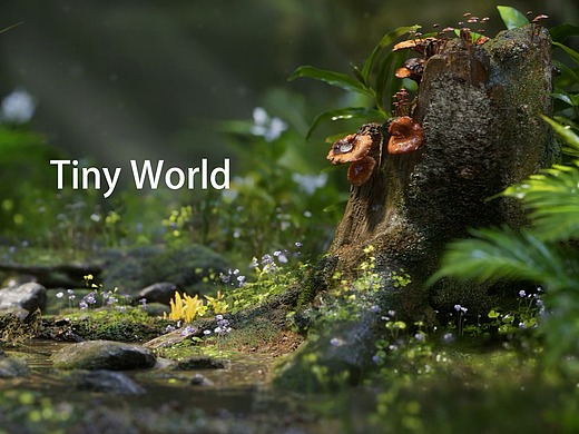 tiny world