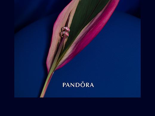春日桃花 PANDORA潘多拉珠宝