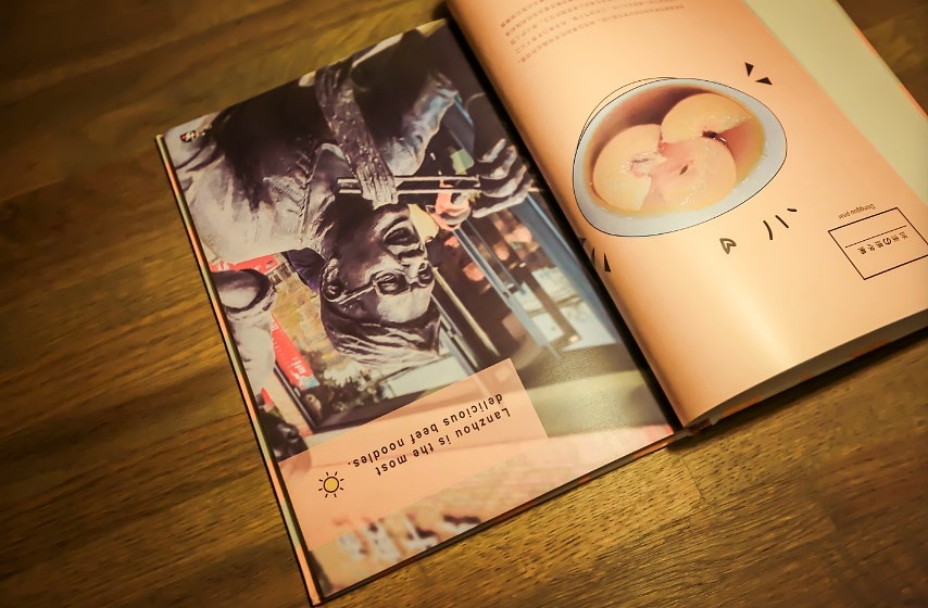 &lt;关于兰州系列书籍装帧&gt;兰州财经大学 张萱 #青春答卷2015#