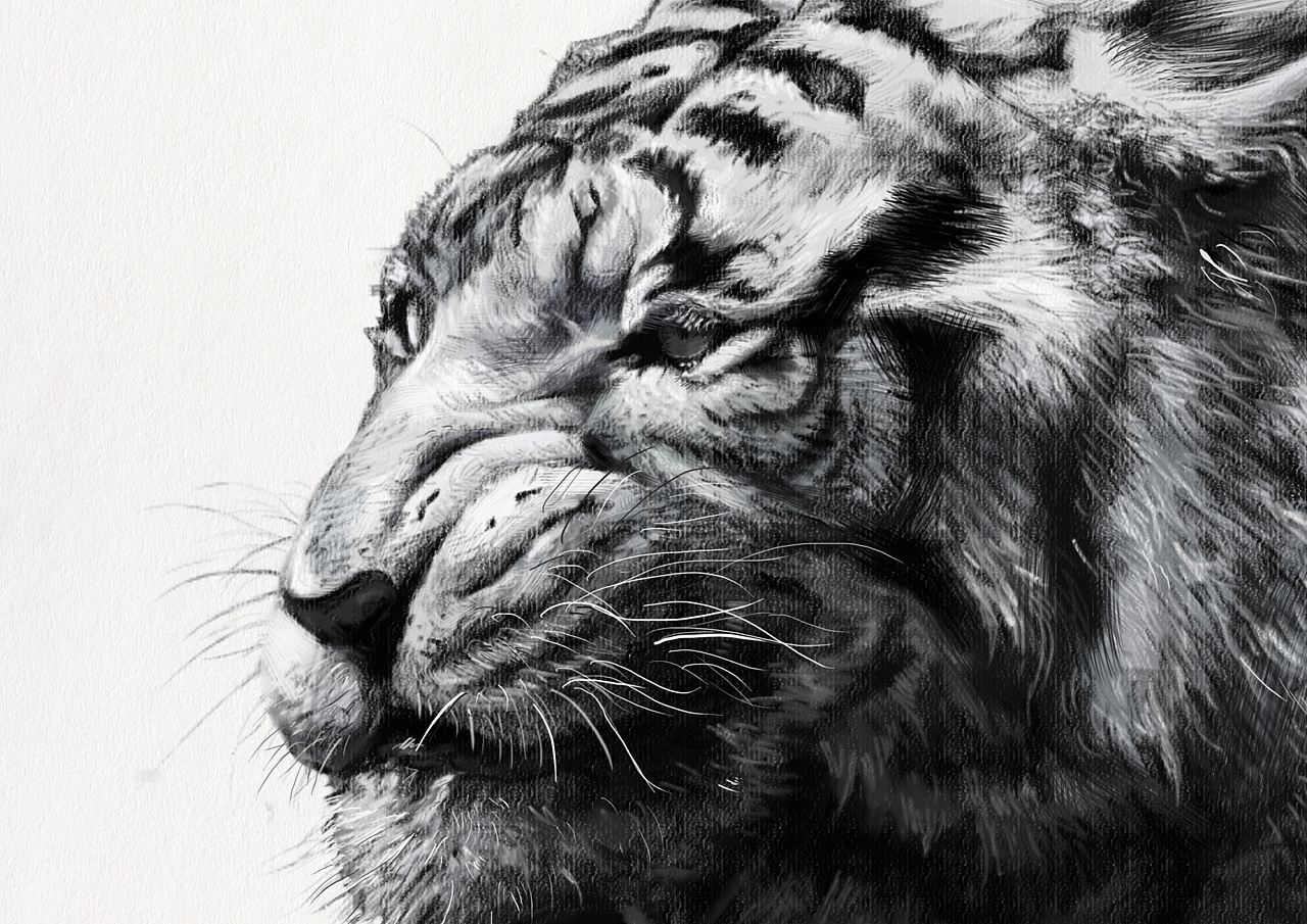 梼- 原创作品 - 站酷(zcool)