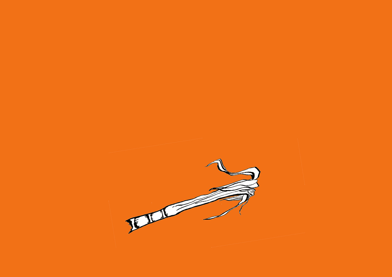 儿童绘本——一根红皮甘蔗（图ZMjIyODM2NA==） - 商业插画 - 站酷设计师阿闷闷原创素材 - 站酷ZCOOL