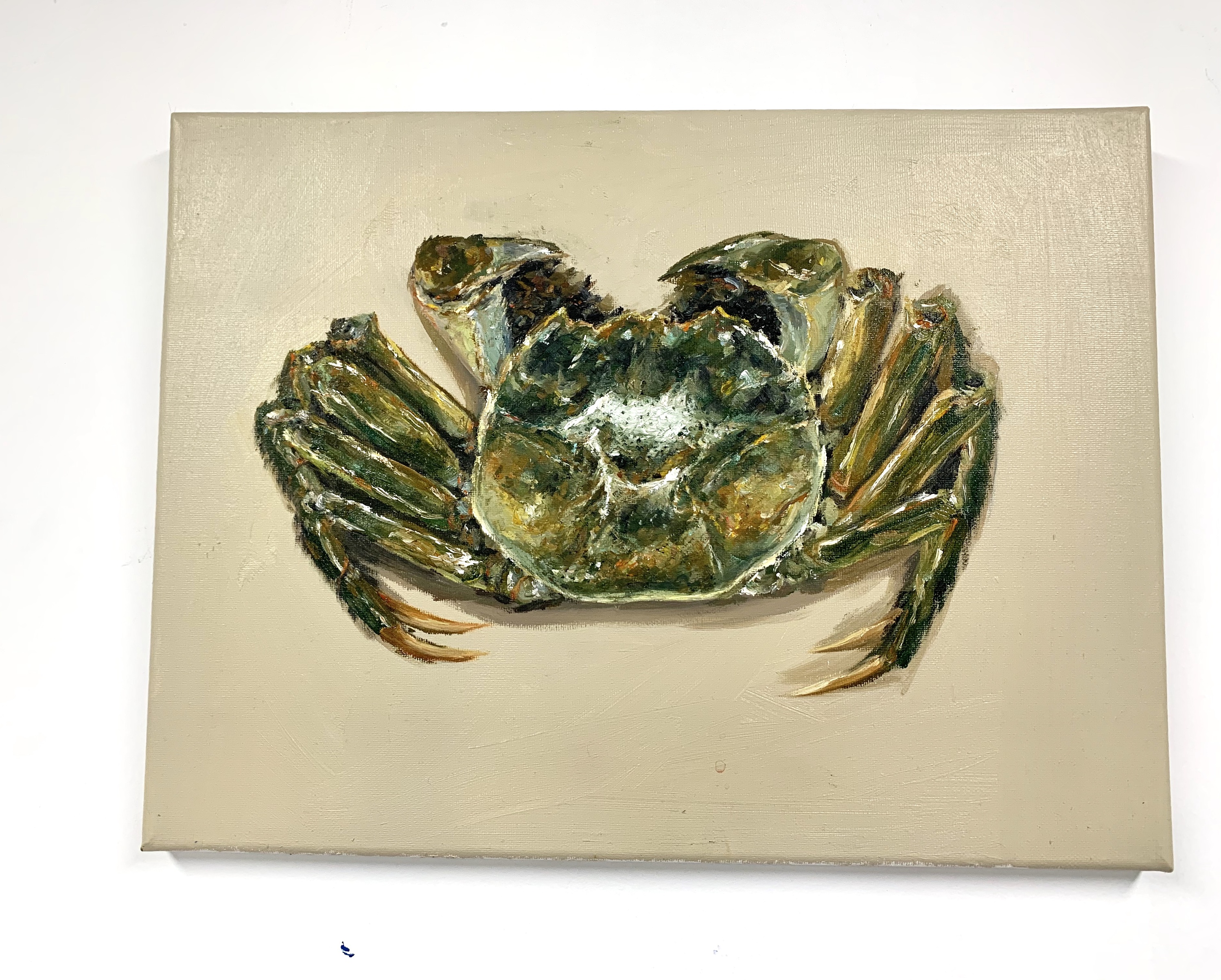 螃蟹_姜菲-站酷zcool