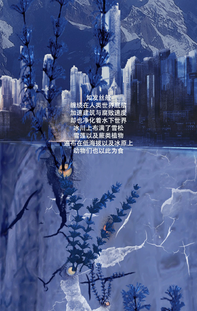 自媒体设计《末日之后》----冰（图ZMTYwNDM2NDI0） - 宣传物料 - 站酷设计师暹罗不是猫原创素材 - 站酷ZCOOL