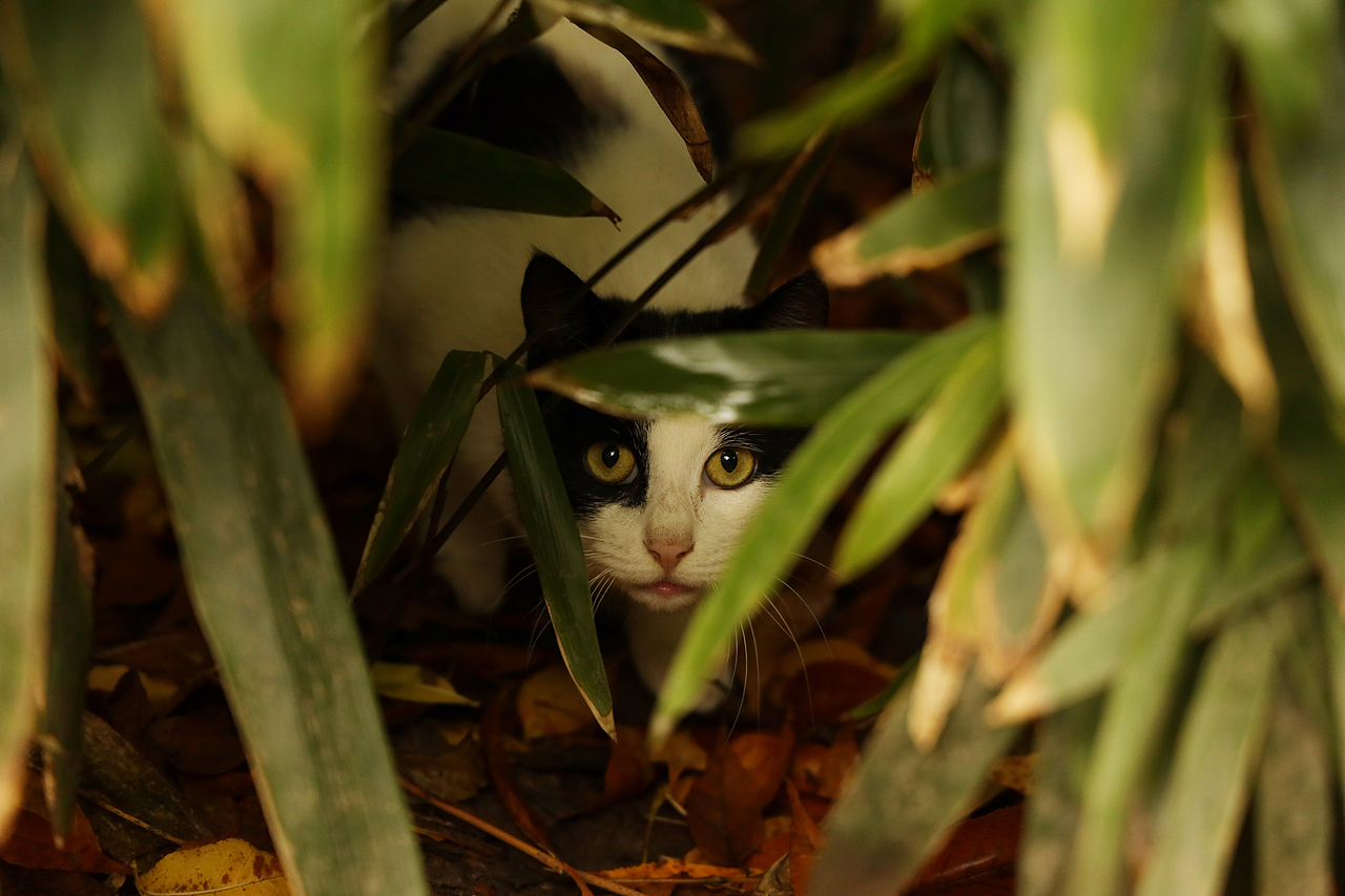 革命公园人文纪实