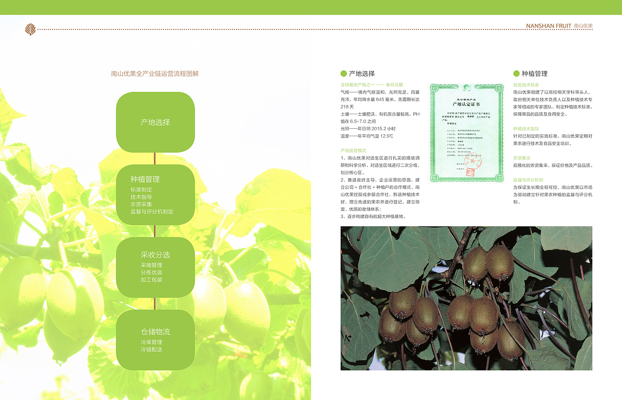 猕猴桃 宣传册（图ZMjE1NDk0NDg=） - 书籍/画册 - 站酷设计师菲菲geek原创素材 - 站酷ZCOOL