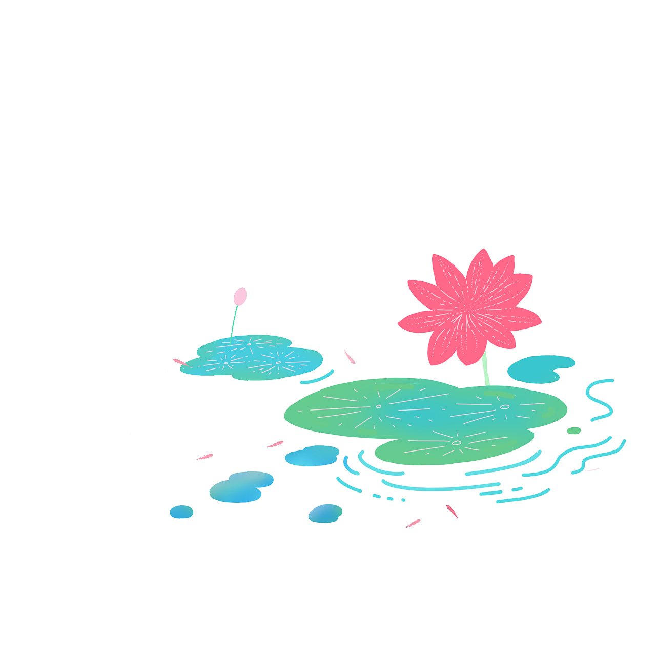 荷花矢量插画元素练习