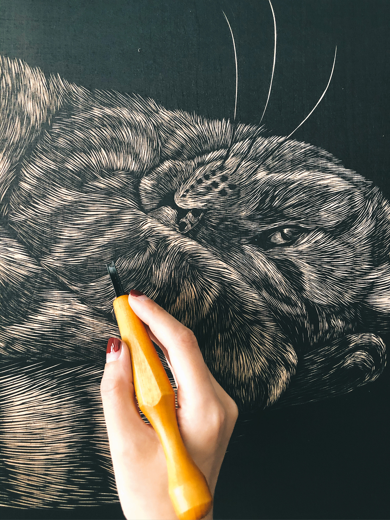 手工雕刻黑白木刻版画猫咪