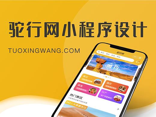 驼行网小程序设计总结