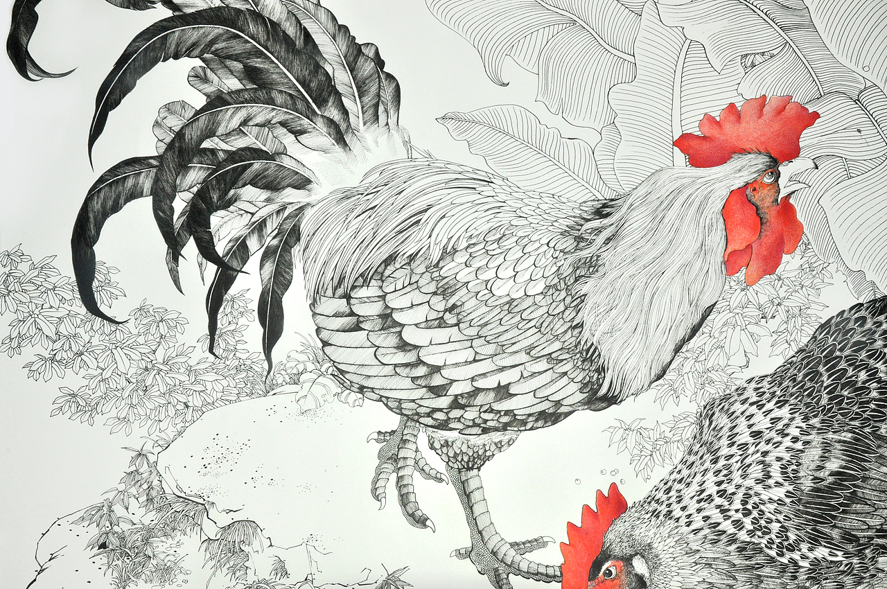 针管笔画——鸡