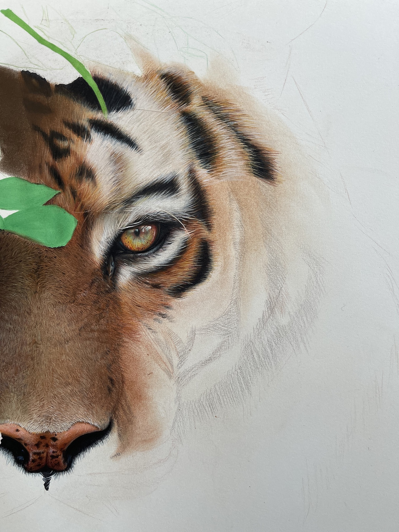 彩铅创作《心有猛虎,细嗅蔷薇》