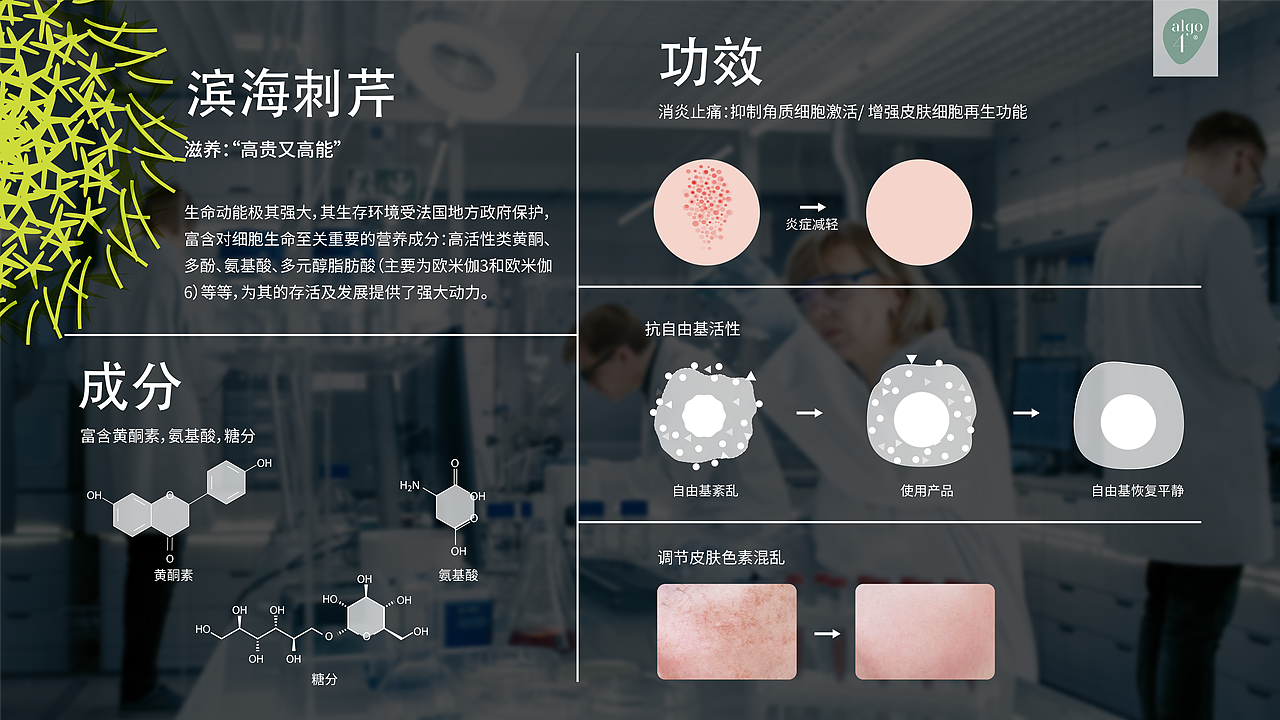 Algologie品牌推广