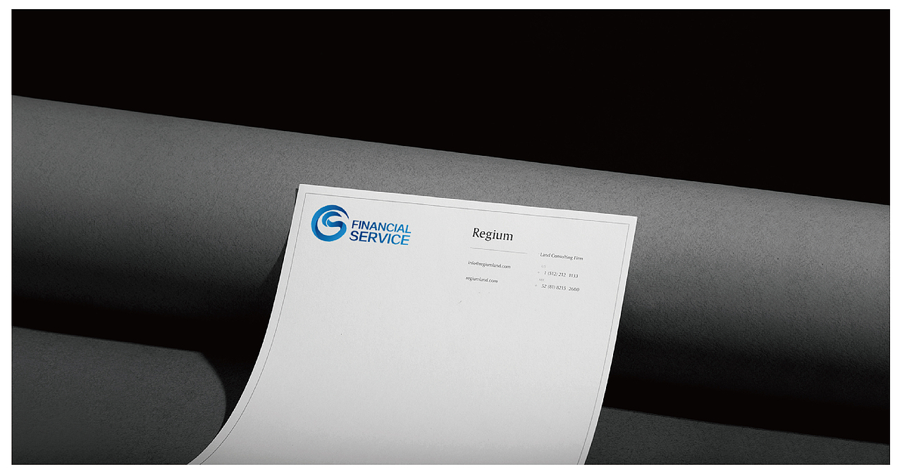 国盛金服 品牌设计