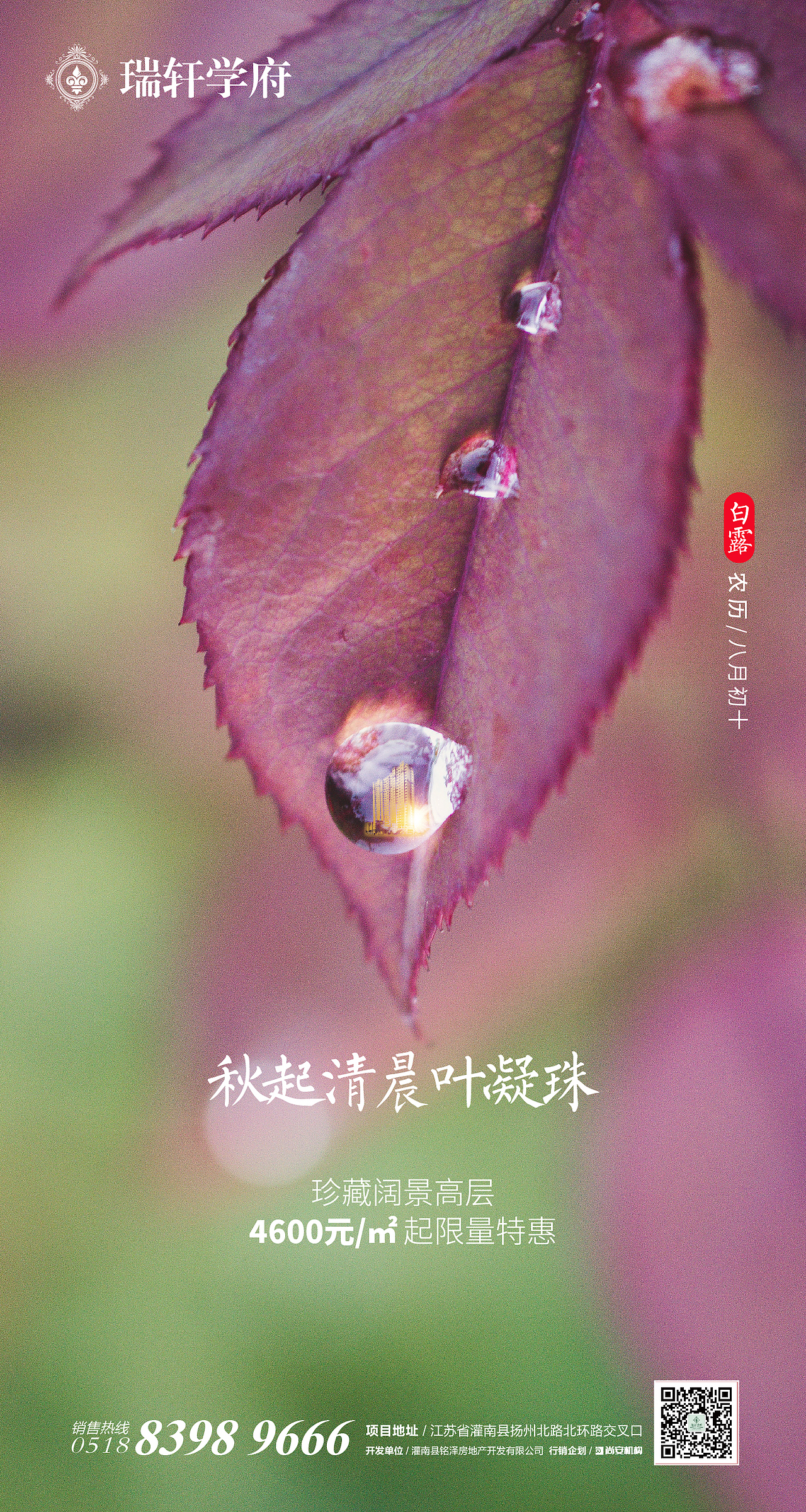 节气海报 活动物料 大牌 单页