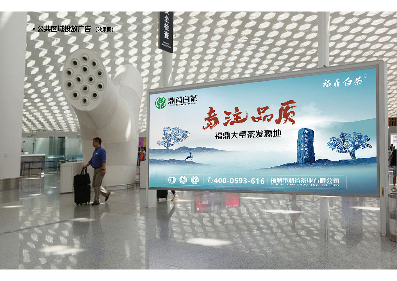 鼎首白茶品牌全案