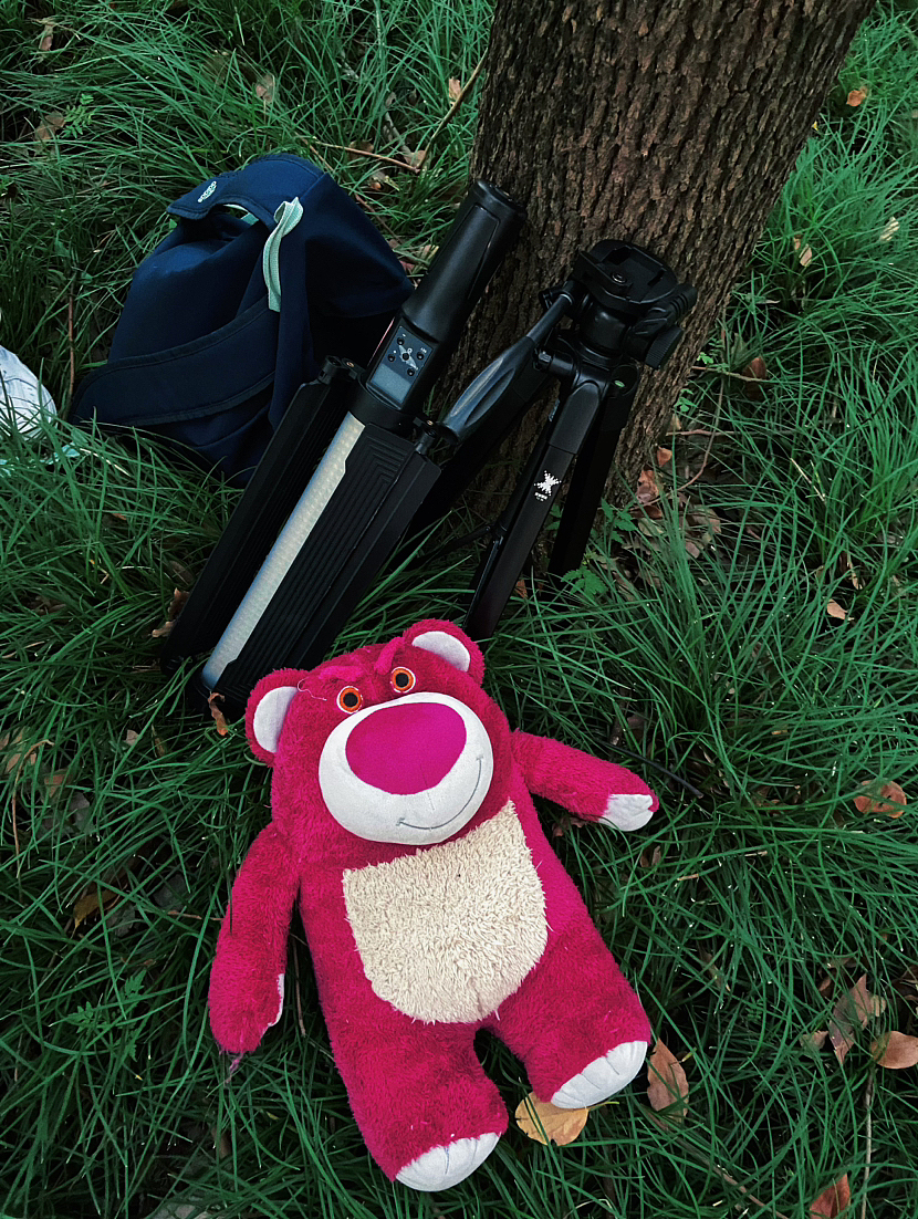 顾村公园周边小森林-人像-MM