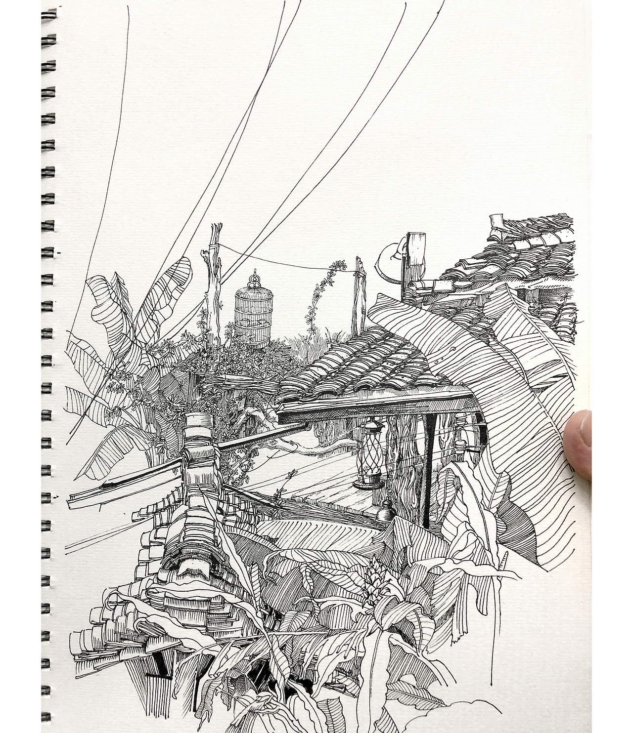 苏武钢笔插画《老屋》写生创作过程