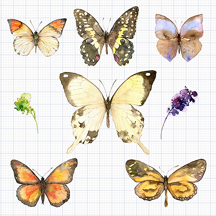 水彩森活绘-2017 水彩作品总结（图ZOTcyMjMwMjg=） - 创作习作 - 站酷设计师浮岛鲸原创素材 - 站酷ZCOOL