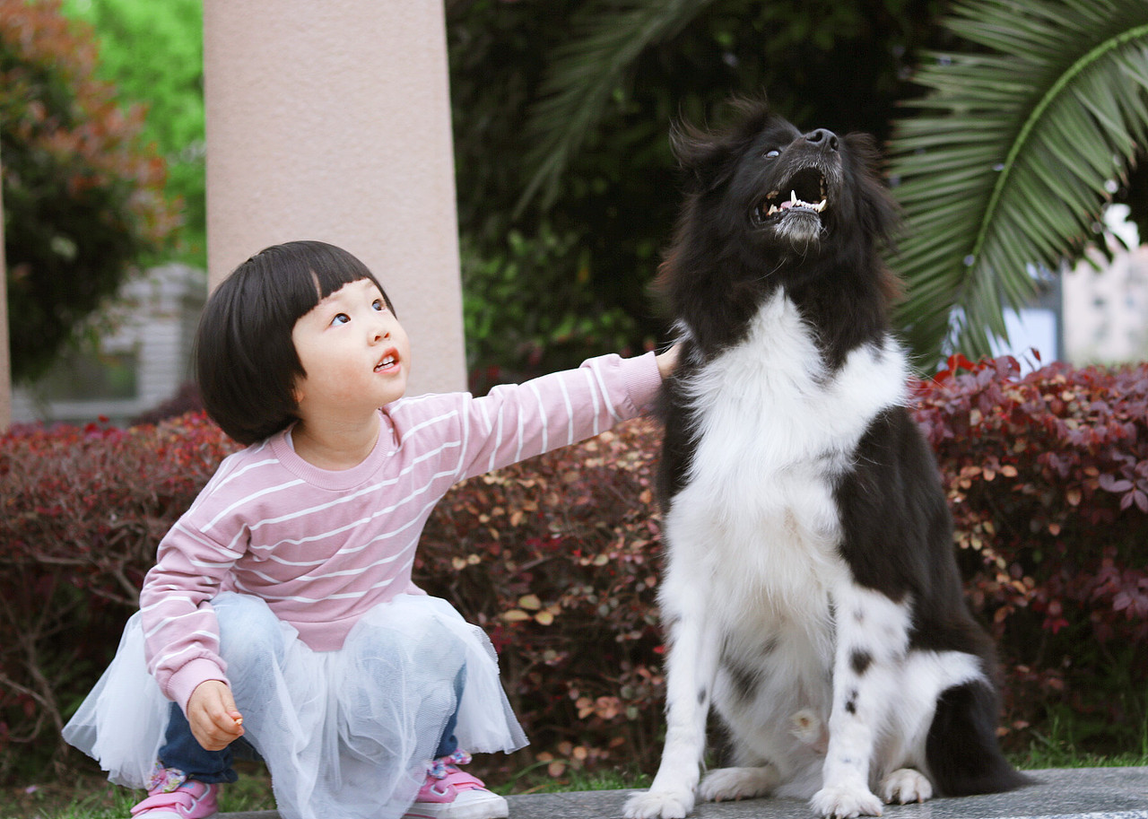 陪伴（图ZNzk1Mzk2MzY=） - 人文/纪实摄影 - 站酷设计师GlaceYyy原创素材 - 站酷ZCOOL