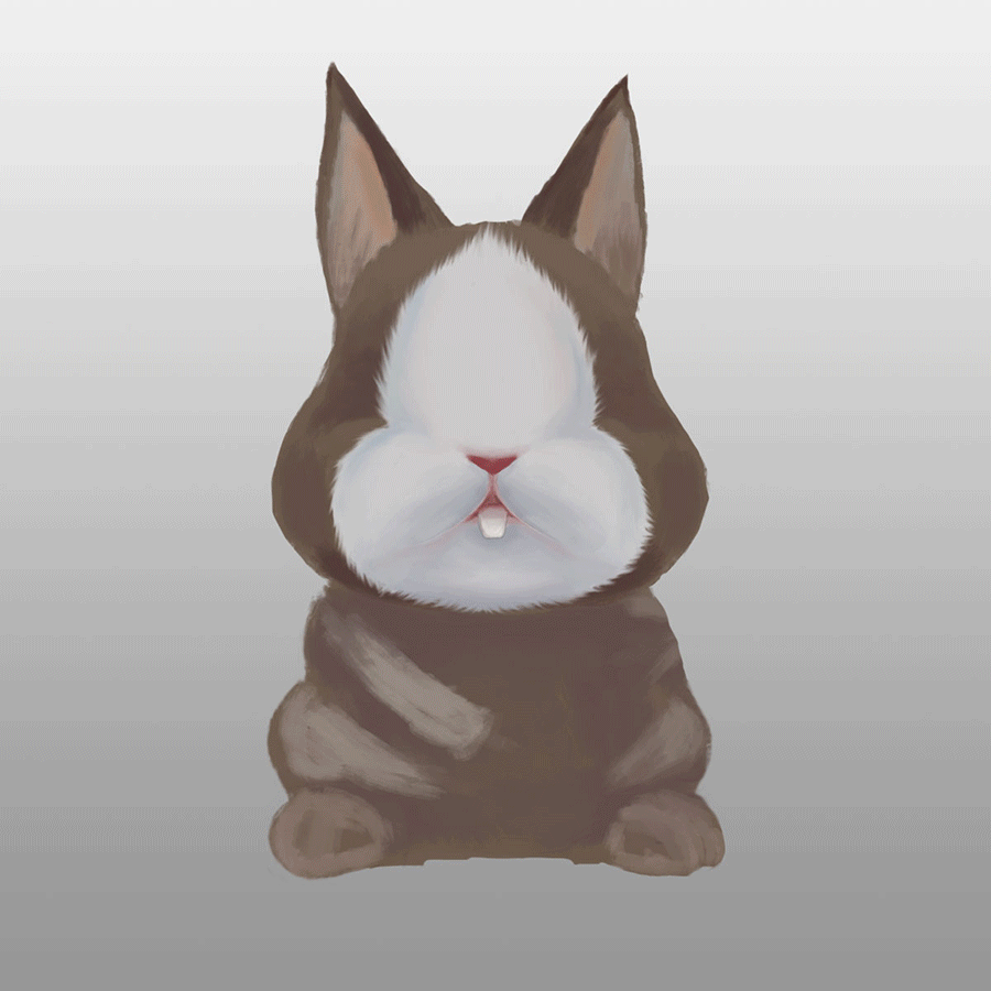 看在我这么良心把步骤图放出来了 点个赞呗!!!