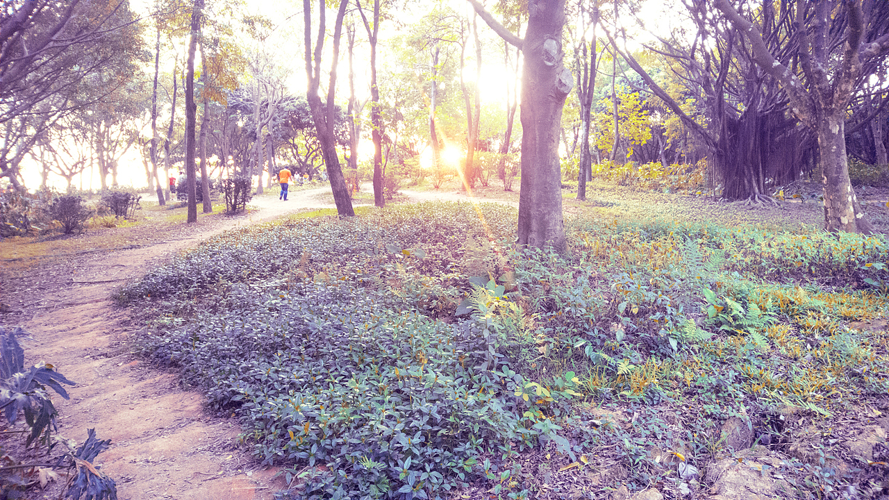 摄影第四辑【莲花山】