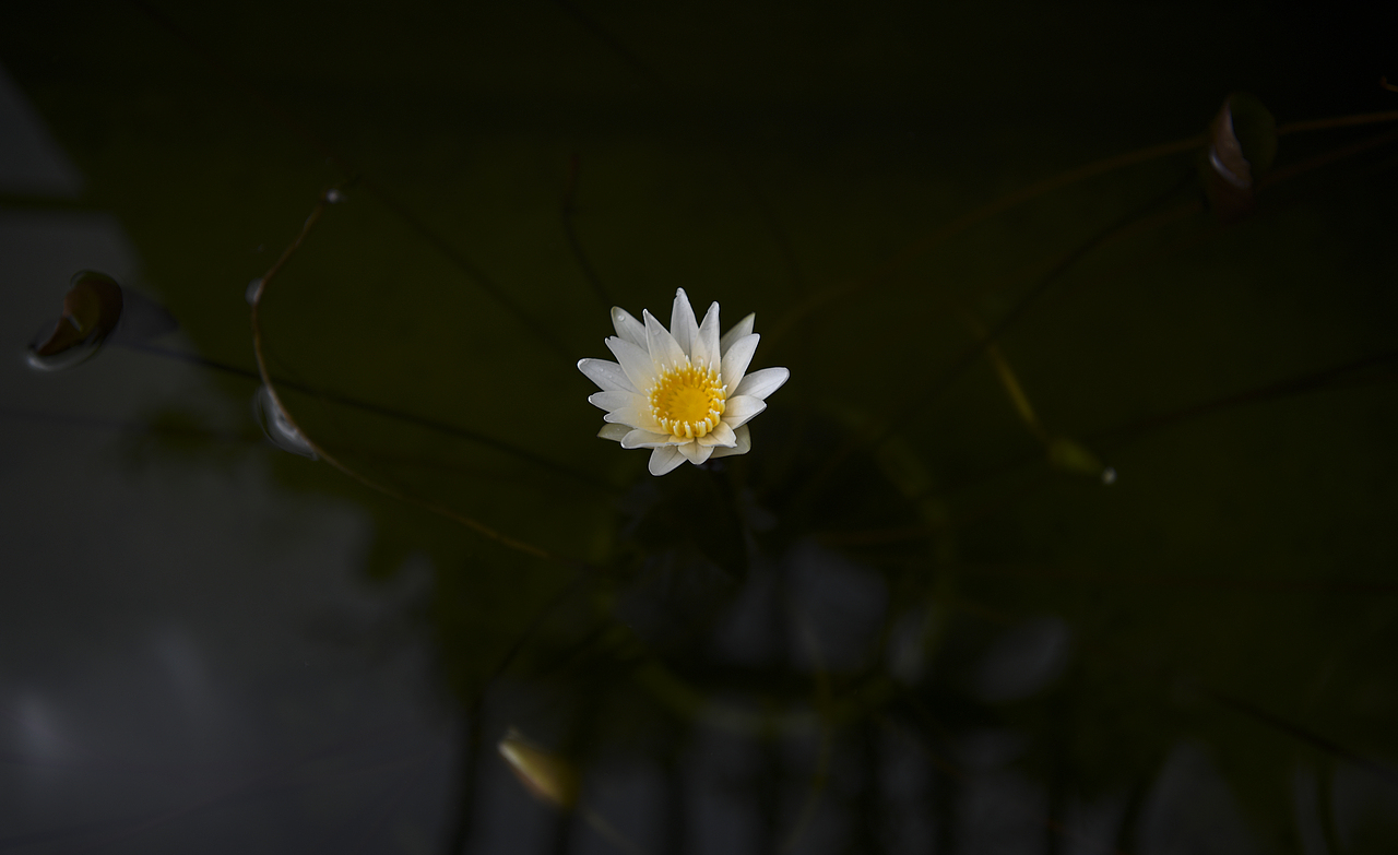 摄影/静物（图ZMTc4MTk1OTQ0） - 产品摄影 - 站酷设计师庄佳莹原创素材 - 站酷ZCOOL