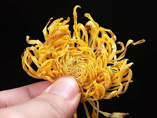 金丝皇菊(花草茶系列)