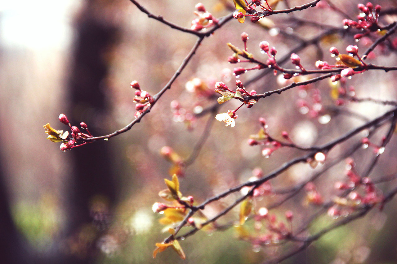 下雨天该在家睡觉的