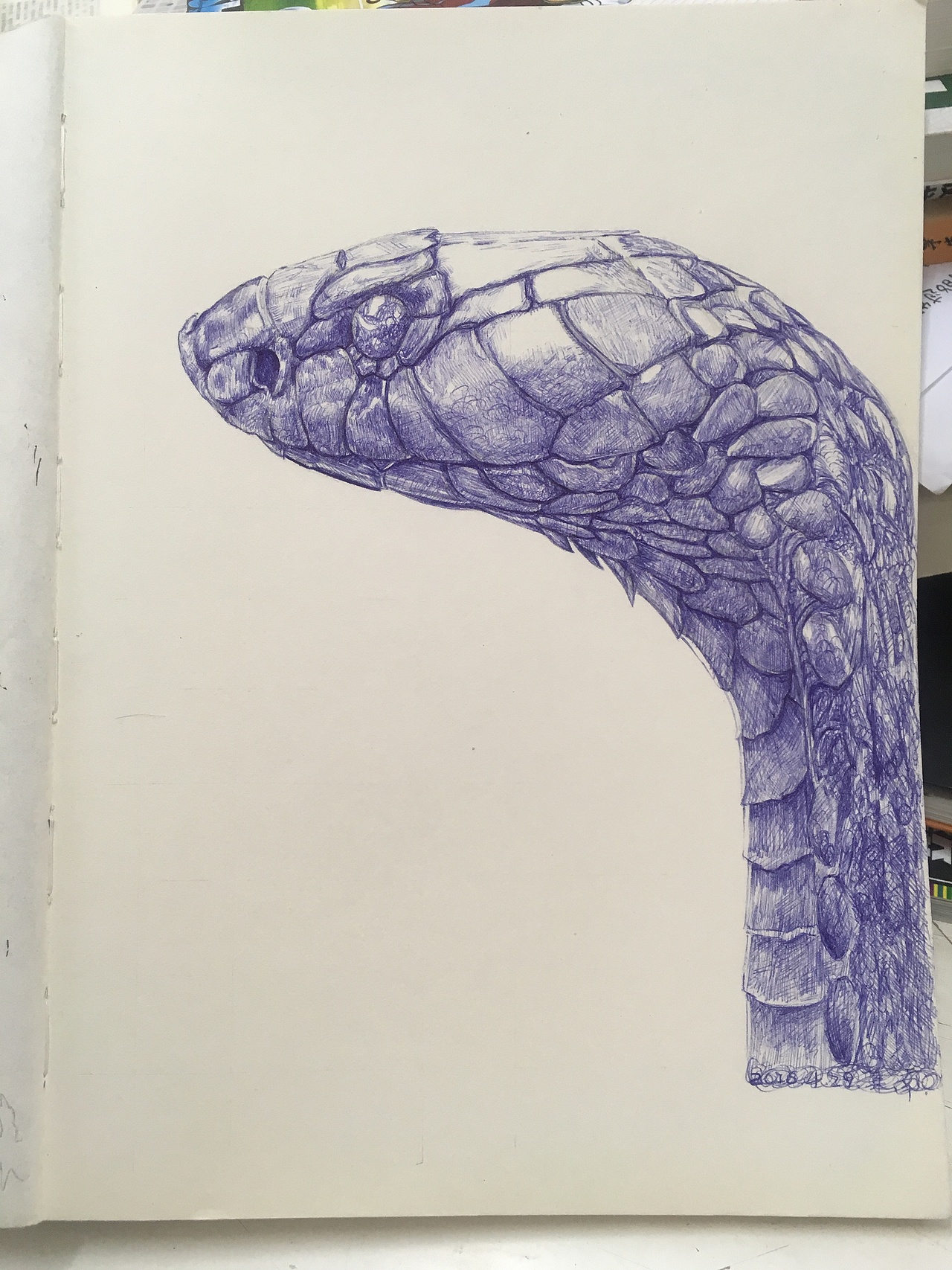 蛇|插画|创作习作|朱朱南南_原创作品-站酷zcool