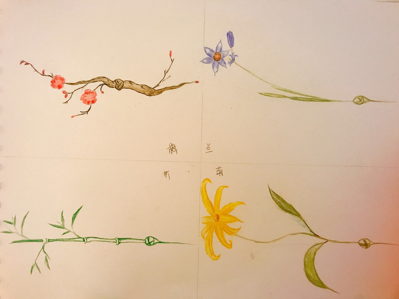 课业设计(手绘盘扣)