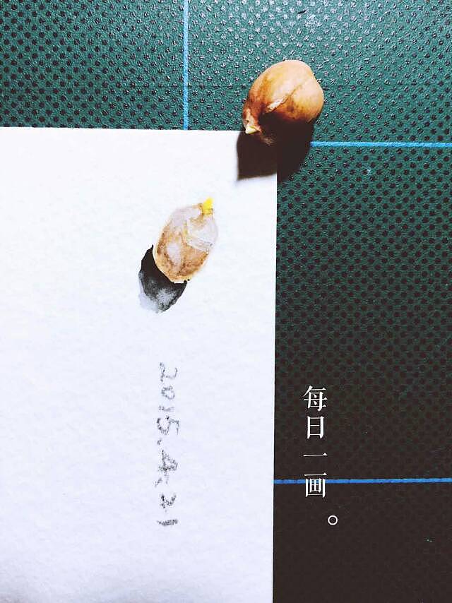 我的水彩画（图ZNDkzNjM0NzI=） - 创作习作 - 站酷设计师郁金香香香原创素材 - 站酷ZCOOL