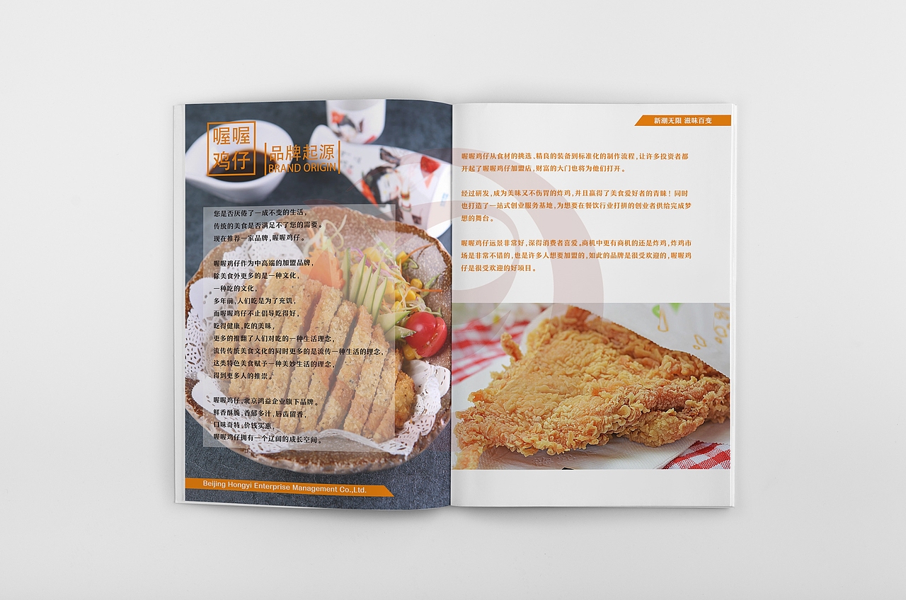 品牌画册（图ZMTI5NzA3MzQ4） - 品牌 - 站酷设计师龙chunyu原创素材 - 站酷ZCOOL