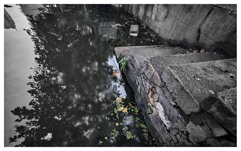 时间老去 精神不灭