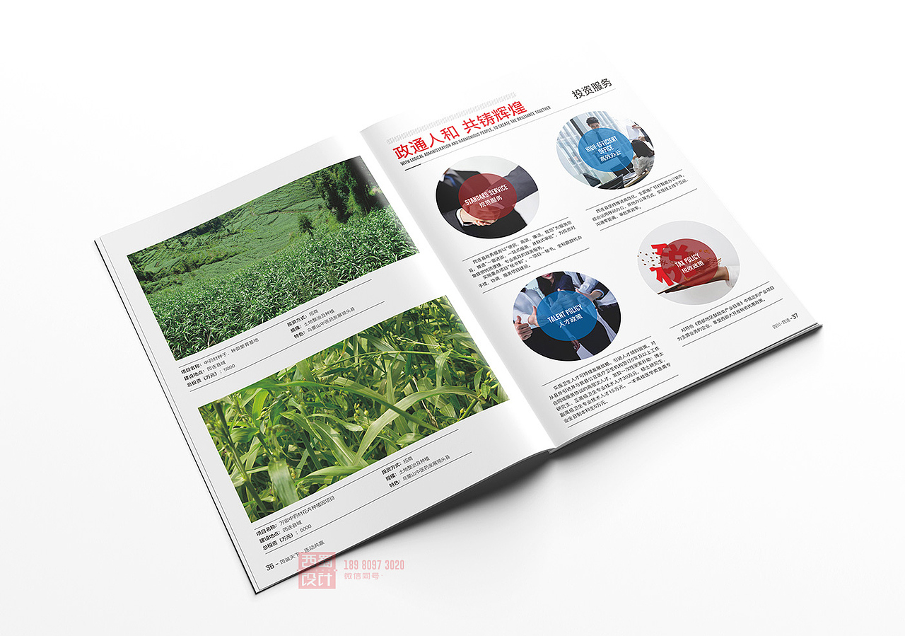 中药材招商画册 企业画册设计 公司画册设计 产品画册