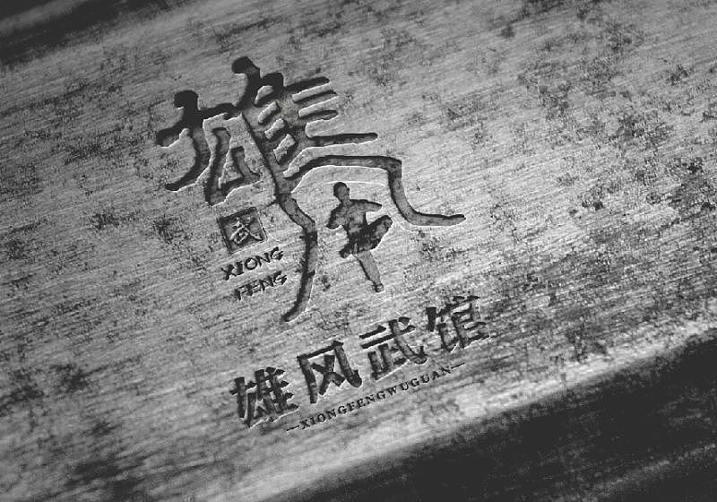 logo设计/武馆logo案例/中国风