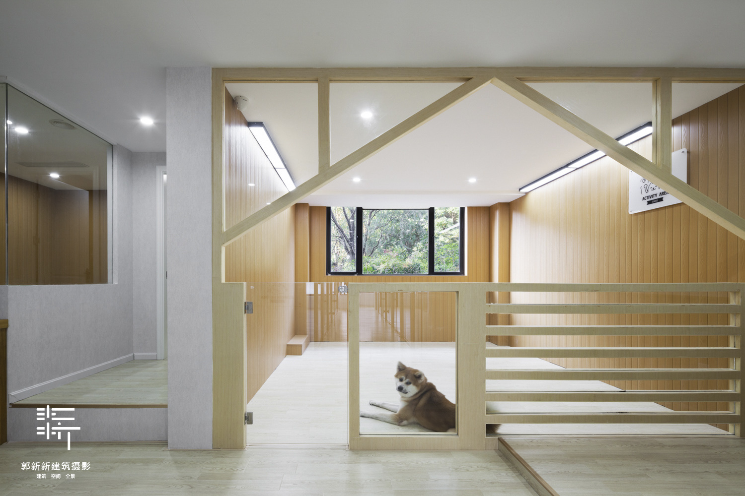 杭州它宅 pet hotel and spa 宠物酒店