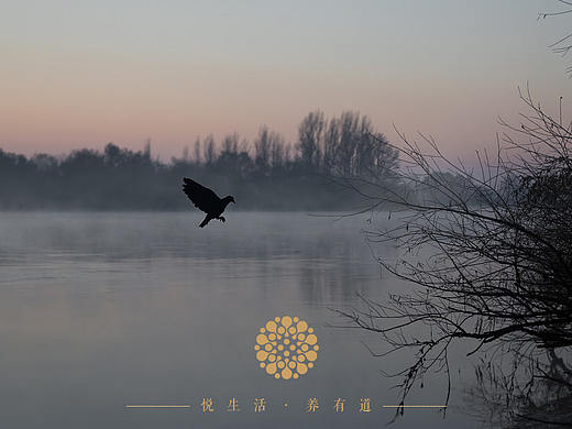 中医|悦生活·养有道