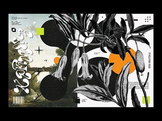 排版设计-Mauricio Seidel