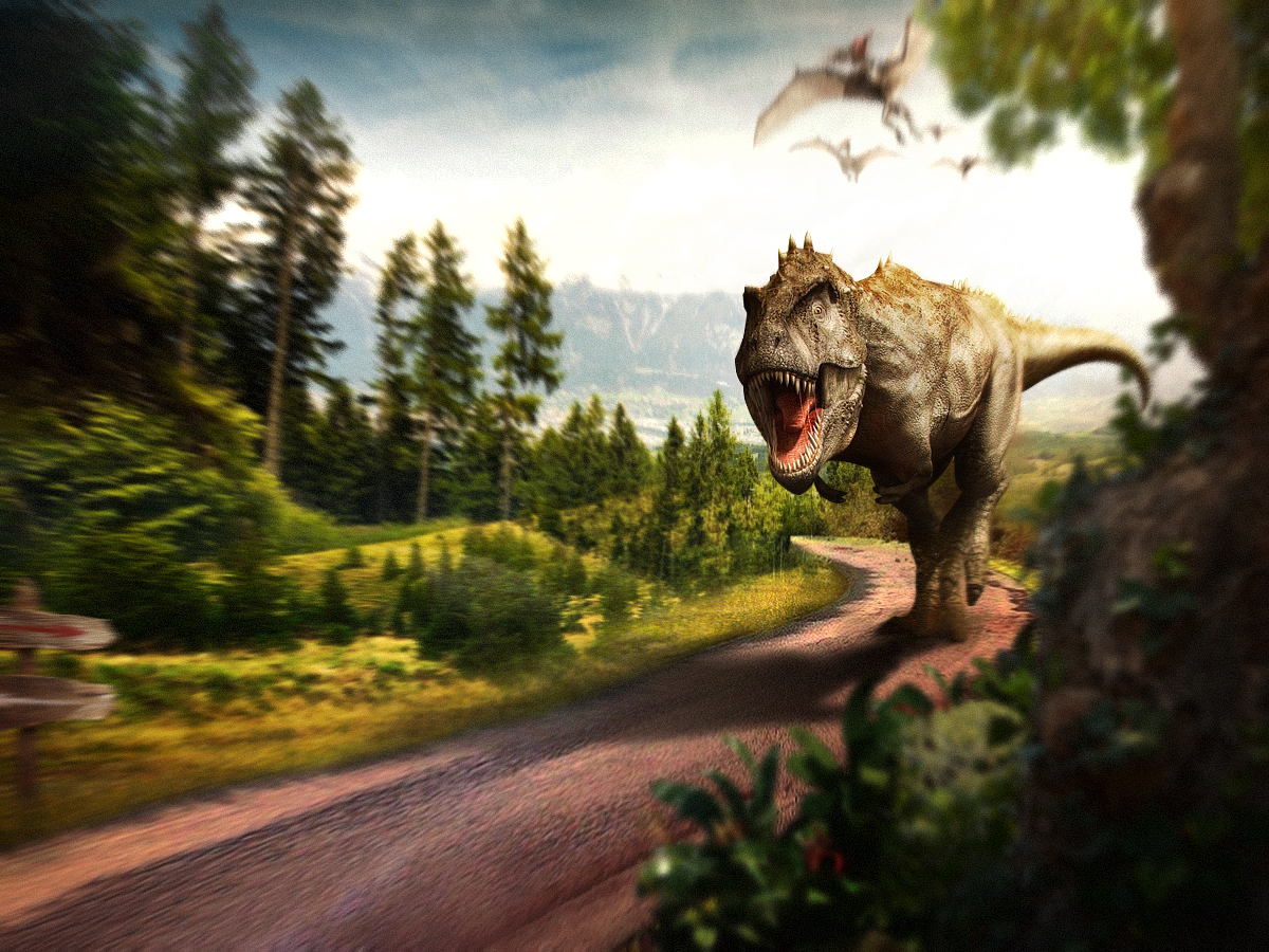 新手上线,老同机勿喷